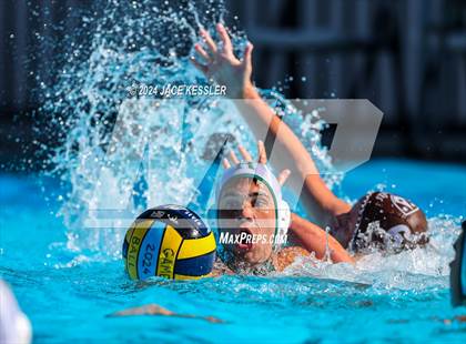 Thumbnail 2 in Royal @ Crespi photogallery.