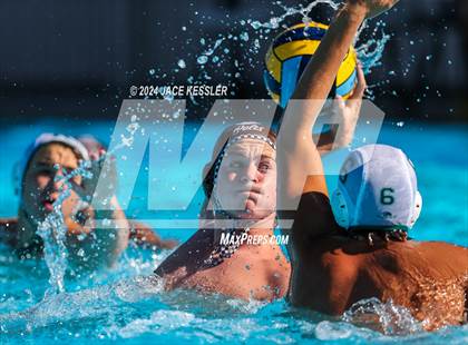 Thumbnail 3 in Royal @ Crespi photogallery.