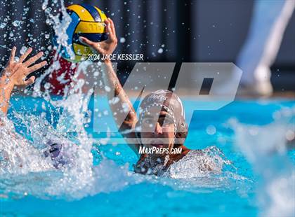 Thumbnail 2 in Royal @ Crespi photogallery.