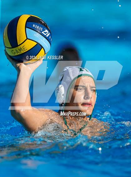 Thumbnail 3 in Royal @ Crespi photogallery.