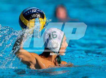 Thumbnail 1 in Royal @ Crespi photogallery.