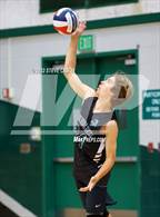 Photo from the gallery "Whitney @ Granite Bay"
