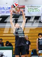 Photo from the gallery "Whitney @ Granite Bay"