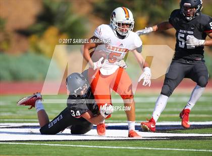 Thumbnail 1 in Polytechnic vs Brentwood photogallery.