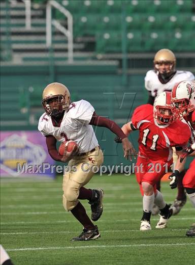 null - Photo 41
