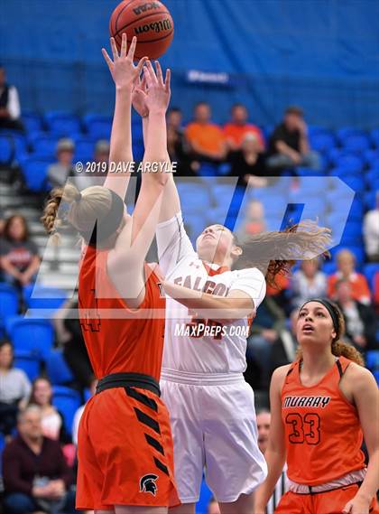 Thumbnail 2 in Skyridge vs. Murray (UHSAAA 5A Quarterfinal) photogallery.