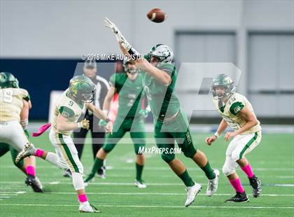 Thumbnail 2 in Reedy @ Lebanon Trail photogallery.