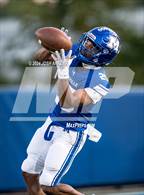 Photo from the gallery "Covington @ Mandeville"