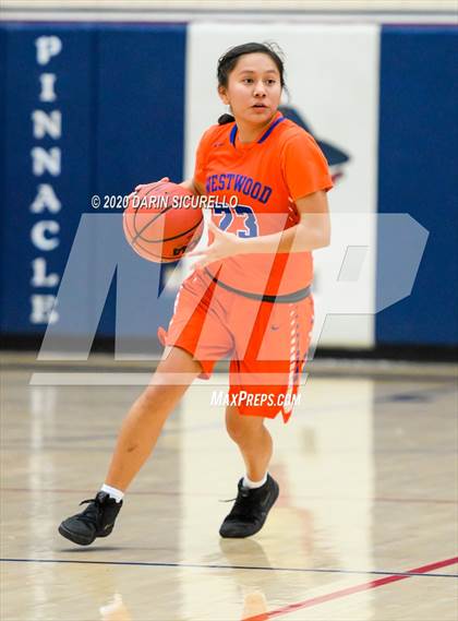 Thumbnail 2 in Westwood @ Pinnacle (AIA 6A Quarterfinals) photogallery.