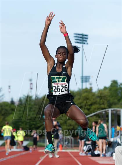 Thumbnail 1 in Stanford Invitational Long Jump photogallery.