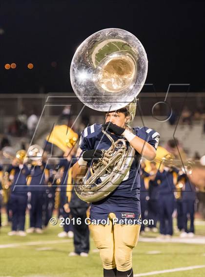 Thumbnail 1 in Carter @ Los Osos photogallery.