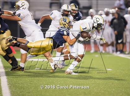 Thumbnail 2 in Carter @ Los Osos photogallery.
