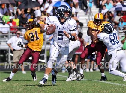 Thumbnail 3 in Dwyer @ Glades Central photogallery.
