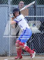 Photo from the gallery "Windsor @ Poudre"