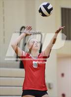 Photo from the gallery "Frankton @ Lapel"