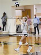 Photo from the gallery "Frankton @ Lapel"