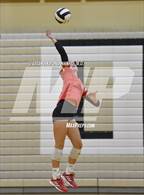 Photo from the gallery "Frankton @ Lapel"