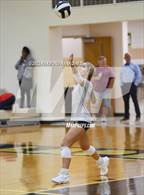 Photo from the gallery "Frankton @ Lapel"