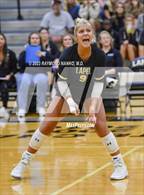 Photo from the gallery "Frankton @ Lapel"