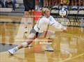 Photo from the gallery "Frankton @ Lapel"