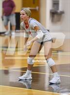 Photo from the gallery "Frankton @ Lapel"