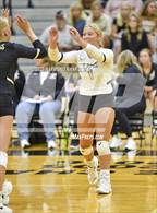 Photo from the gallery "Frankton @ Lapel"