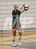 Photo from the gallery "Frankton @ Lapel"