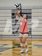 Photo from the gallery "Frankton @ Lapel"