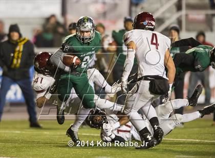 Thumbnail 1 in St. Joseph's Prep vs. Pine-Richland (PIAA Class AAAA Final) photogallery.
