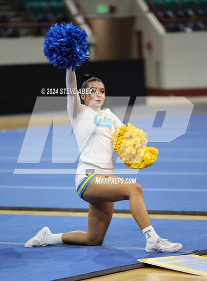 Thumbnail 3 in Timnath (CHSAA 4A State Spirit Championships) photogallery.
