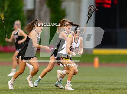 Thumbnail 2 in Walpole vs. Wellesley (MIAA Division 1 State Final) photogallery.