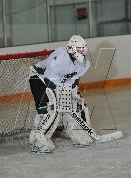 Thumbnail 3 in Chatfield @ Mountain Vista (Senior Night) photogallery.