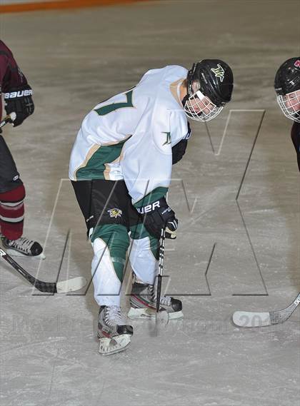 Thumbnail 2 in Chatfield @ Mountain Vista (Senior Night) photogallery.