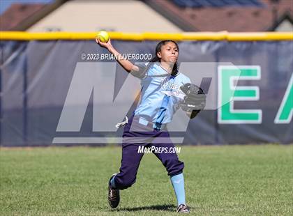 Thumbnail 2 in Widefield @ Pine Creek photogallery.