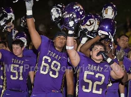 Thumbnail 3 in Tokay vs. Edison photogallery.