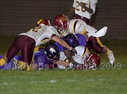 Thumbnail 3 in Tokay vs. Edison photogallery.
