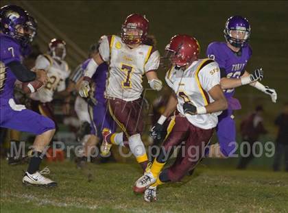 Thumbnail 1 in Tokay vs. Edison photogallery.