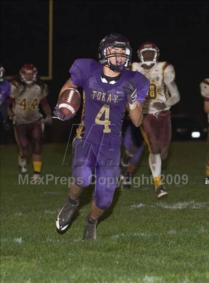 Thumbnail 3 in Tokay vs. Edison photogallery.