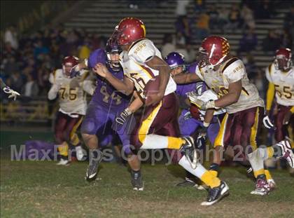 Thumbnail 2 in Tokay vs. Edison photogallery.