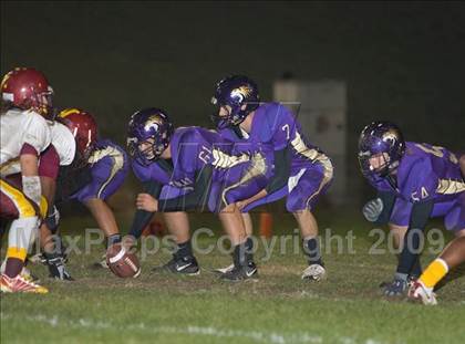 Thumbnail 3 in Tokay vs. Edison photogallery.