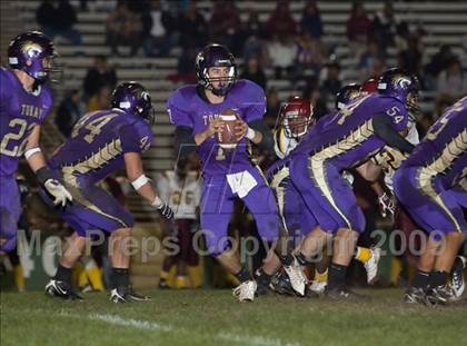 Thumbnail 1 in Tokay vs. Edison photogallery.