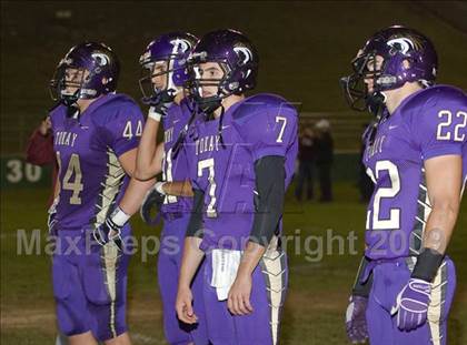 Thumbnail 1 in Tokay vs. Edison photogallery.