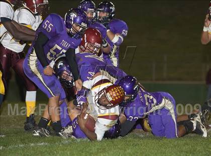 Thumbnail 2 in Tokay vs. Edison photogallery.