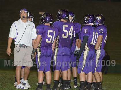 Thumbnail 3 in Tokay vs. Edison photogallery.