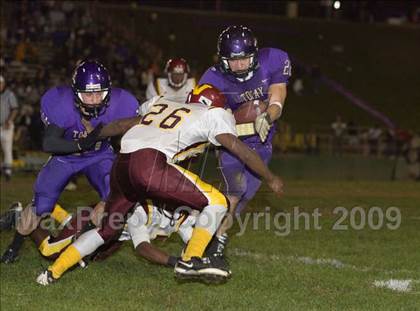 Thumbnail 2 in Tokay vs. Edison photogallery.
