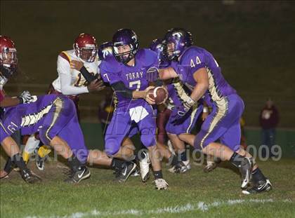 Thumbnail 3 in Tokay vs. Edison photogallery.