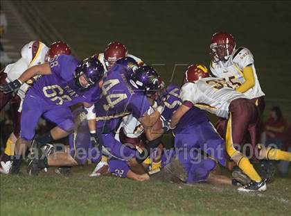 Thumbnail 1 in Tokay vs. Edison photogallery.
