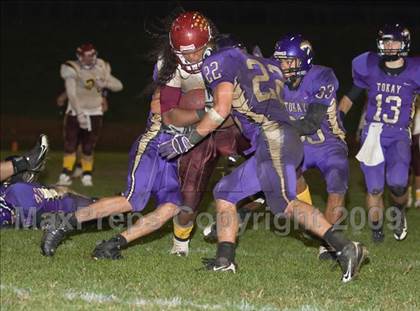 Thumbnail 3 in Tokay vs. Edison photogallery.