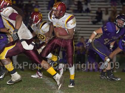 Thumbnail 3 in Tokay vs. Edison photogallery.