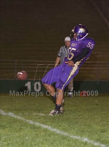 Thumbnail 1 in Tokay vs. Edison photogallery.